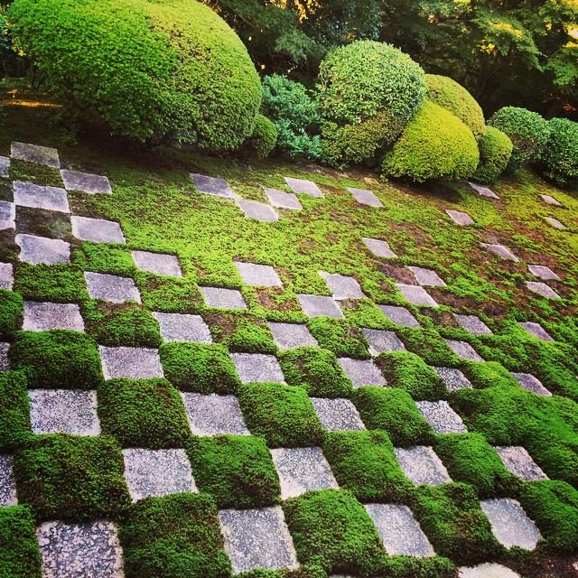 の にて 以前、入館時間過ぎていたのに無理矢理入れてもらって大満足の日本庭園でした。 碁盤の目のようになった石畳と苔のコントラストがとても美しいお庭でした。 裏庭というのにこの手の入れよう、さすが京都です。